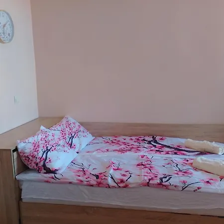 студио شقة *